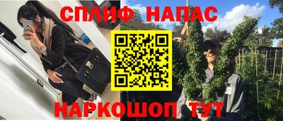 гашик Новозыбков