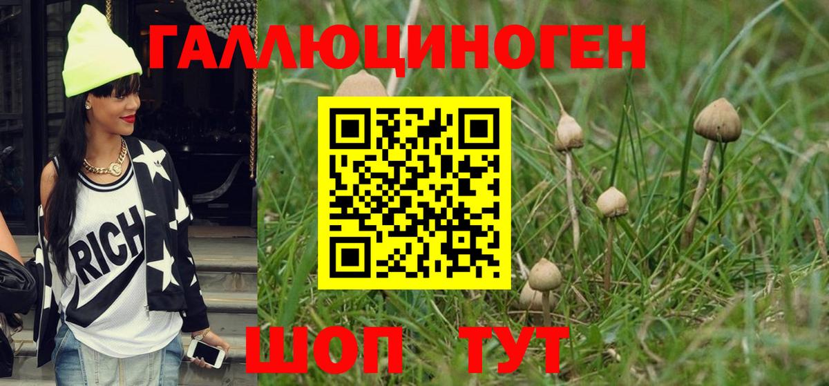 Псилоцибиновые грибы Cubensis  Галлюциногенные грибы ЛСД  Вход с VPN  Дятьково 