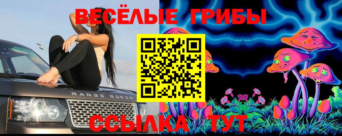 Псилоцибиновые грибы ЛСД Дятьково