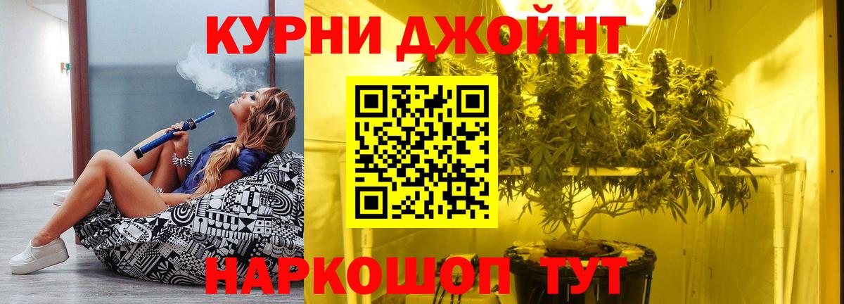 Канабис сатива Дятьково